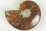 4.2" Polished Ammonite Fossil - Madagascar - #199183-1